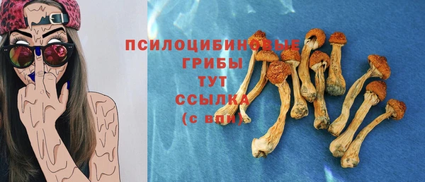 первитин Бородино